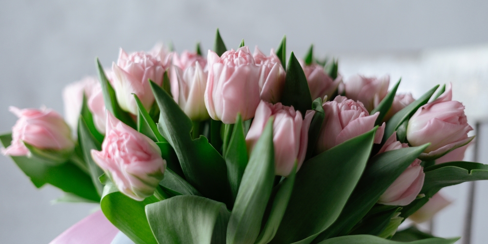 Ranunculus vs. Roses: The Underrated Star of Romantic Bouquets